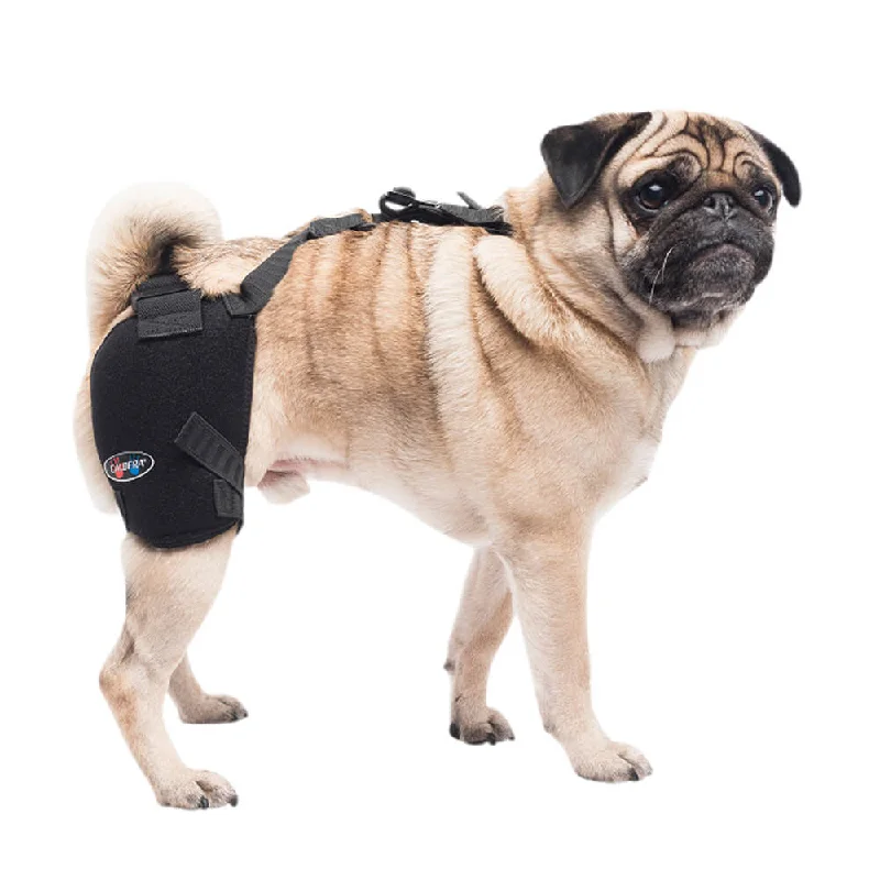 Caldera Pet Therapy Hip Wrap with Therapy Gel