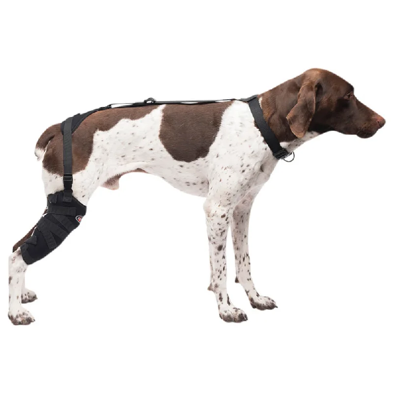 Caldera Pet Therapy Tall Stifle Wrap with Therapy Gel